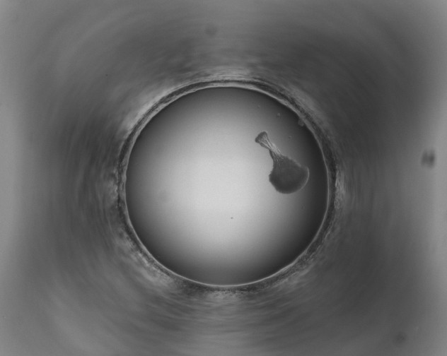 X0000111461212200907201106
