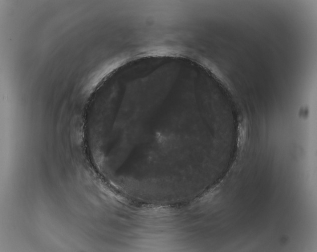 X0000111461213200907201106