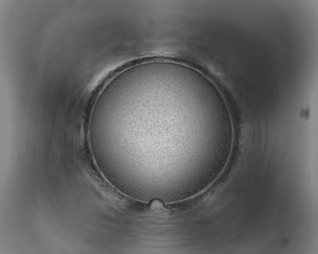 X0000111461214200907201106