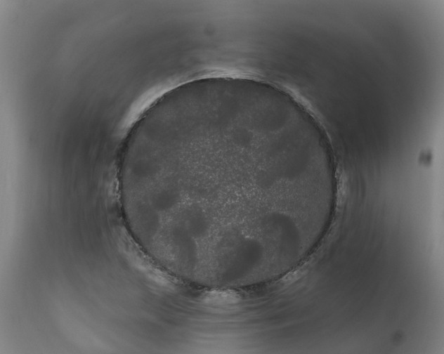 X0000111461215200907201106