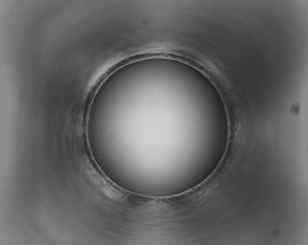 X0000111461216200907201106