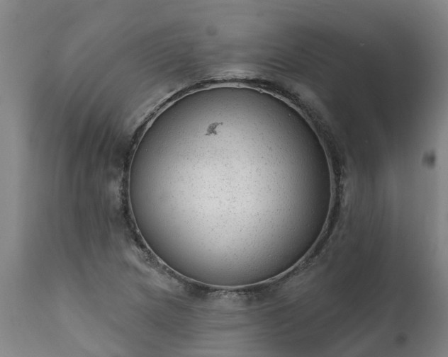 X0000111461217200907201106