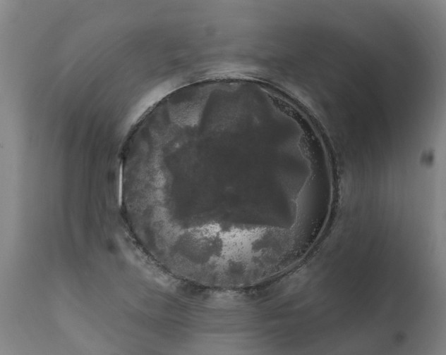 X0000111461219200907201106