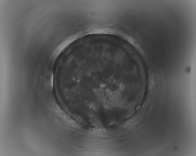 X0000111461221200907201106