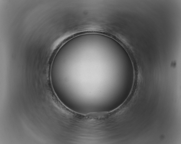 X0000111461222200907201106