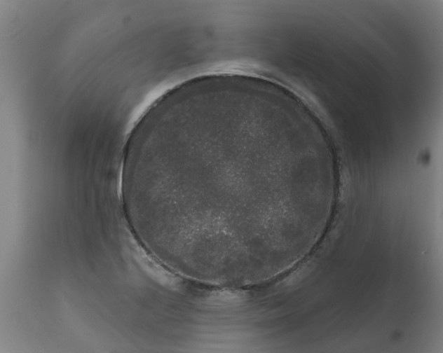 X0000111461224200907201106