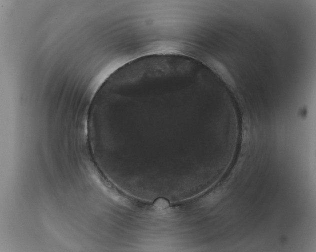 X0000111461226200907201106