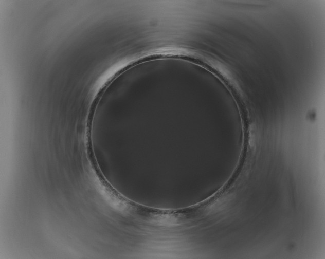 X0000111461229200907201106