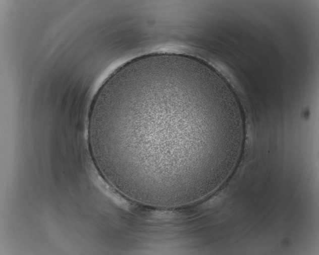 X0000111461232200907201106