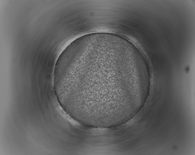 X0000111461236200907201106