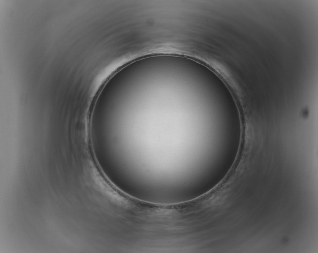 X0000111461238200907201106