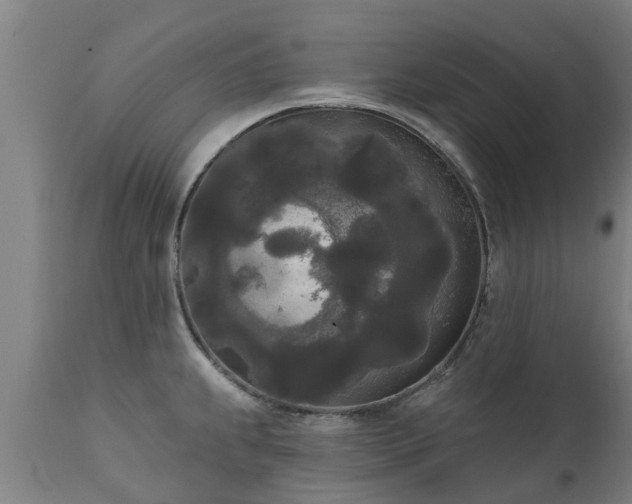 X0000111461239200907201106