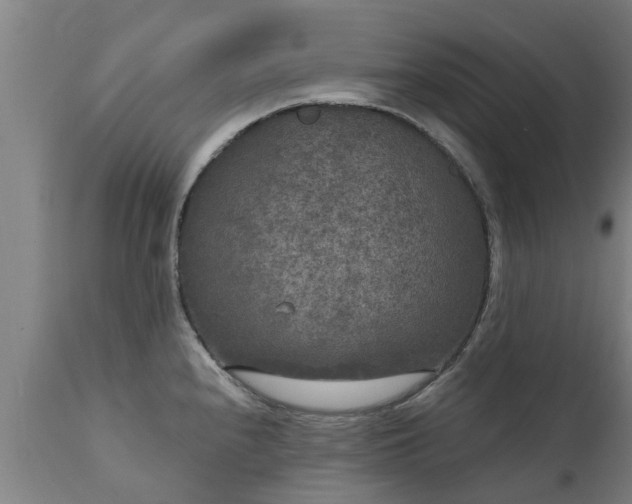 X0000111461240200907201106