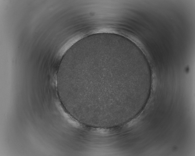 X0000111461241200907201106