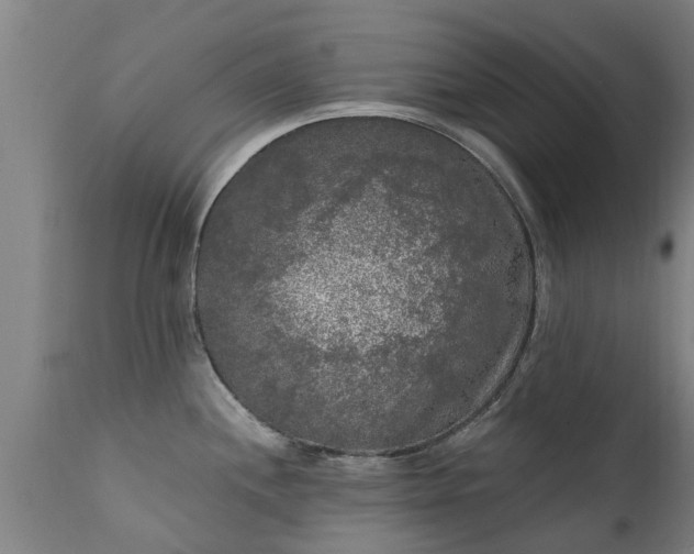 X0000111461244200907201106