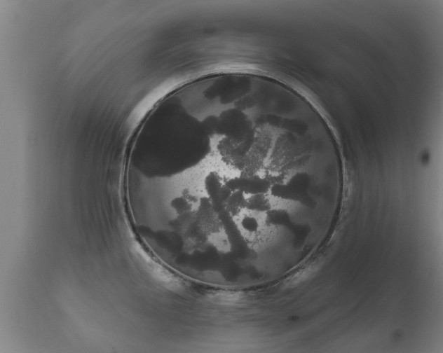 X0000111461245200907201106