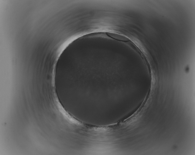 X0000111461246200907201106