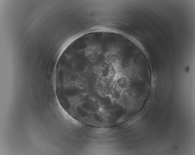 X0000111461247200907201106