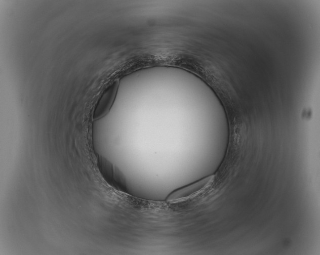 X0000111461249200907201105