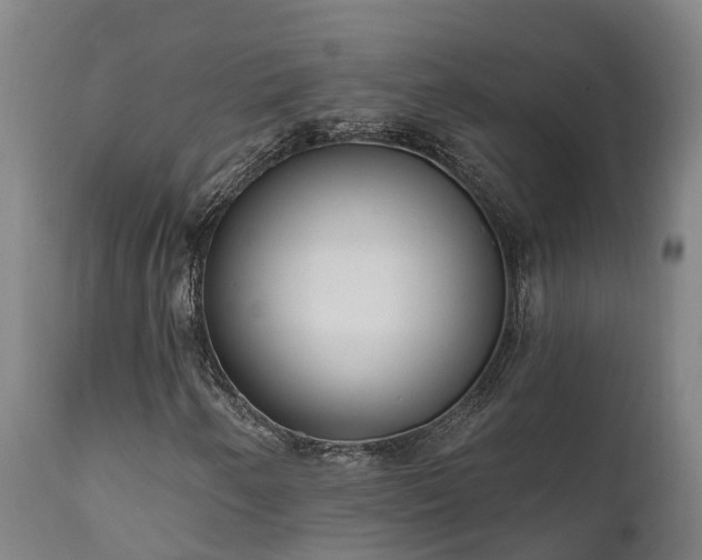 X0000111461250200907201105