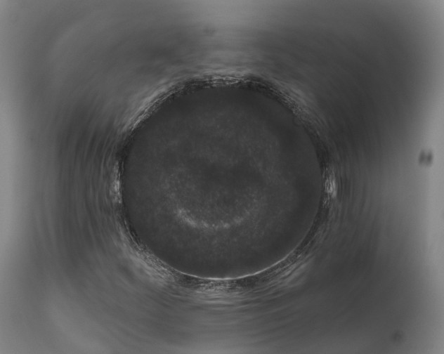 X0000111461252200907201105