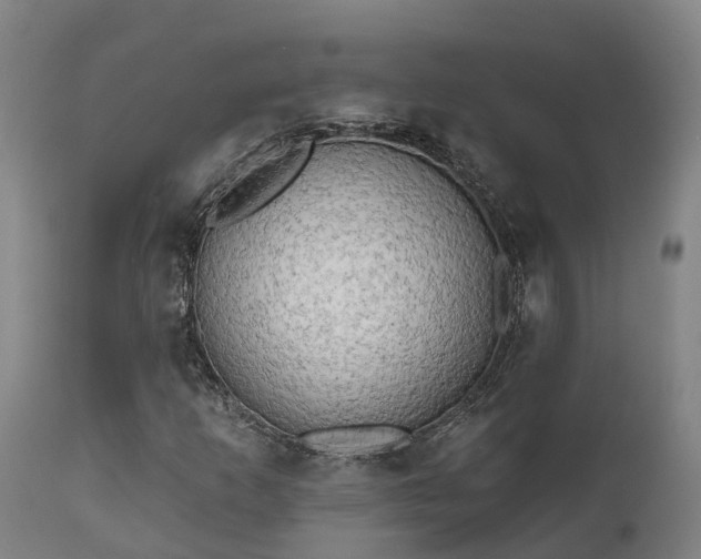 X0000111461253200907201105