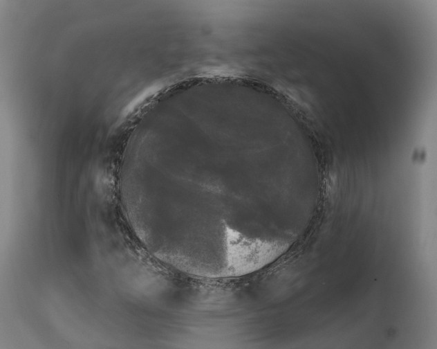 X0000111461254200907201105