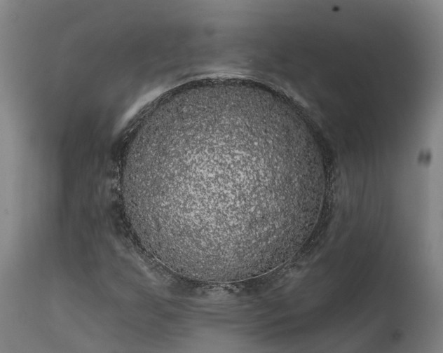 X0000111461255200907201105