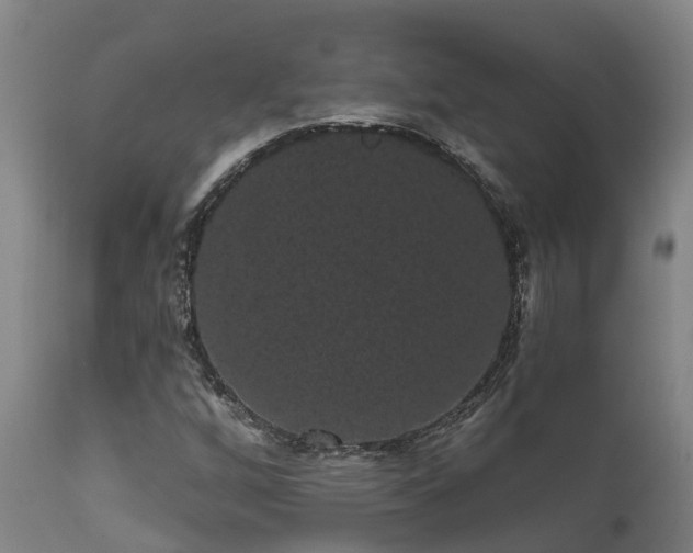 X0000111461256200907201105