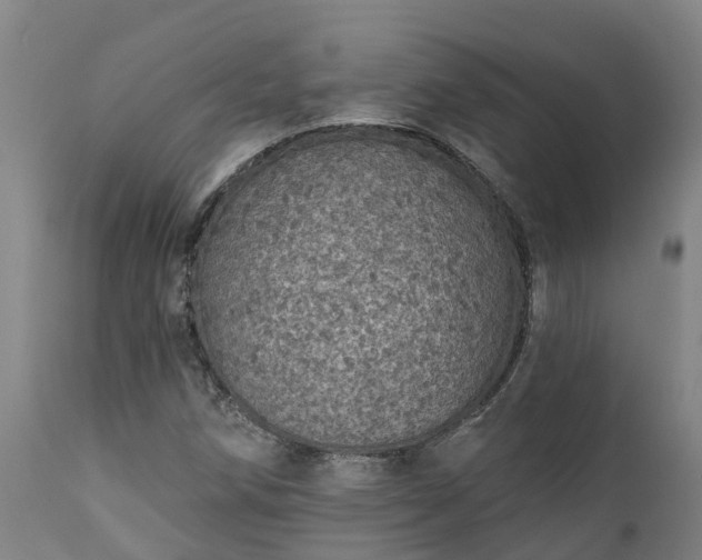 X0000111461258200907201105