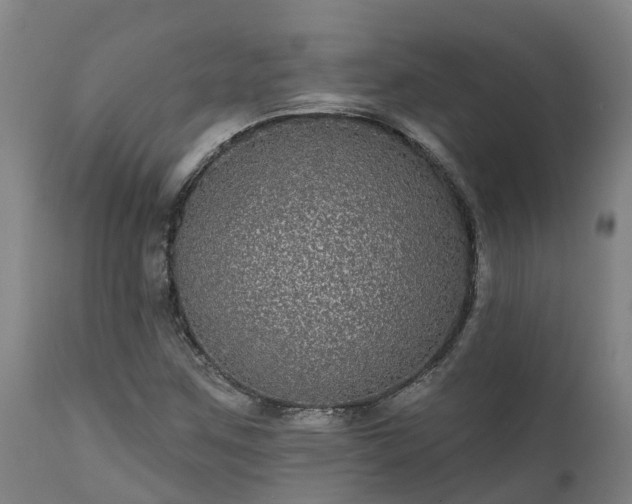 X0000111461259200907201105