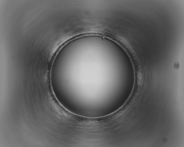 X0000111461260200907201105