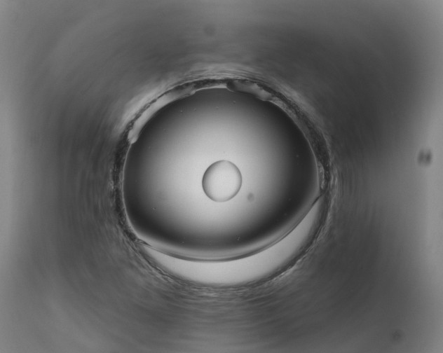 X0000111461261200907201105