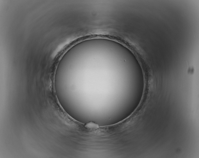 X0000111461262200907201105