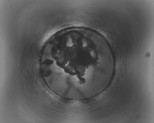 X0000111461263200907201105