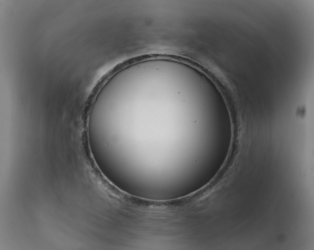 X0000111461264200907201105