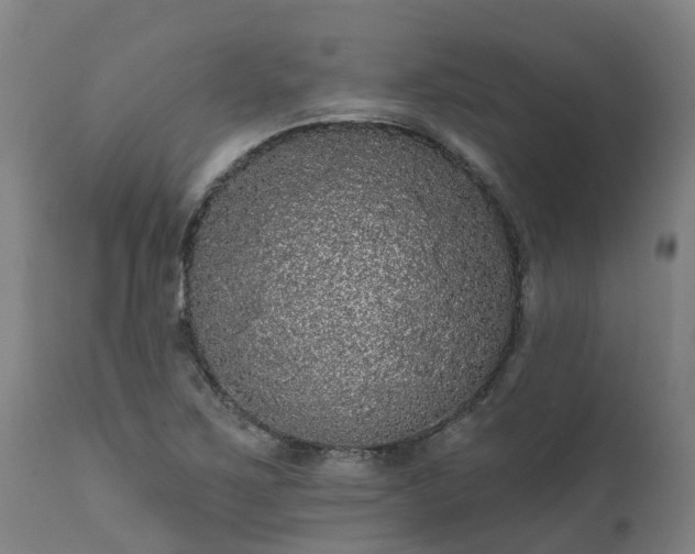 X0000111461267200907201105