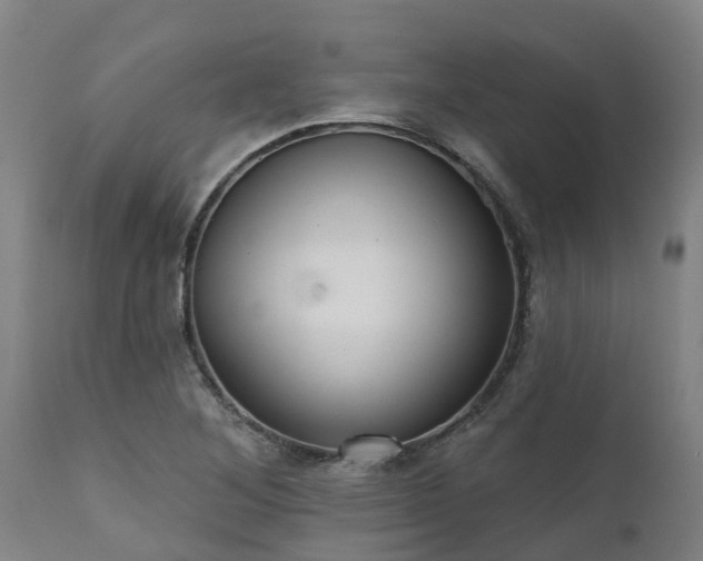 X0000111461268200907201105