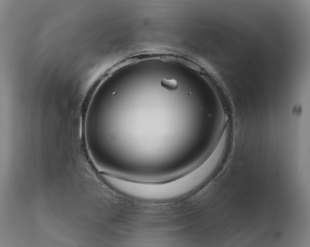 X0000111461269200907201105