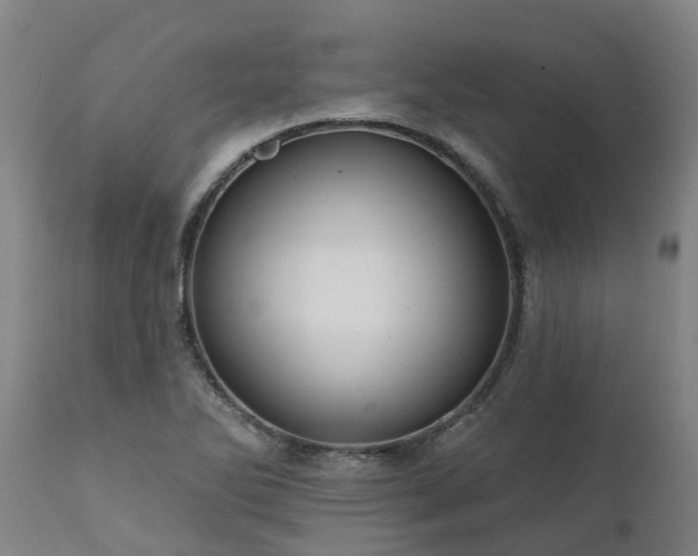 X0000111461270200907201105