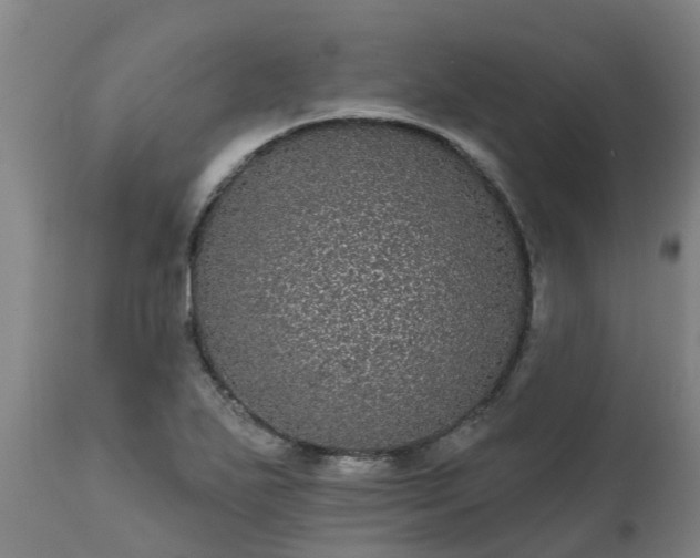 X0000111461271200907201105