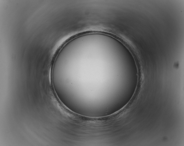 X0000111461272200907201105