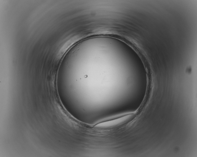 X0000111461273200907201105