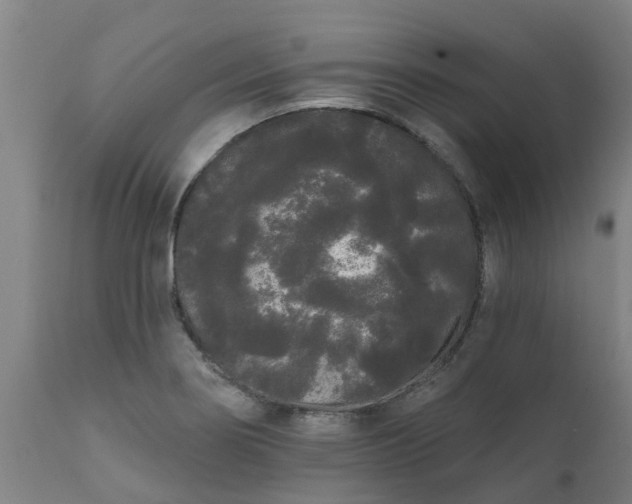 X0000111461274200907201105