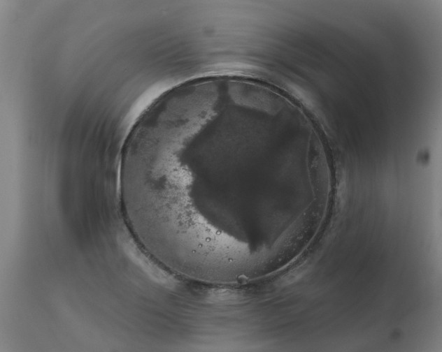 X0000111461275200907201105