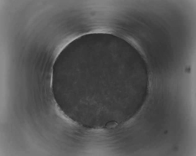 X0000111461276200907201105