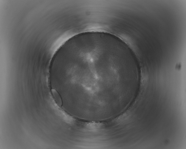 X0000111461277200907201105