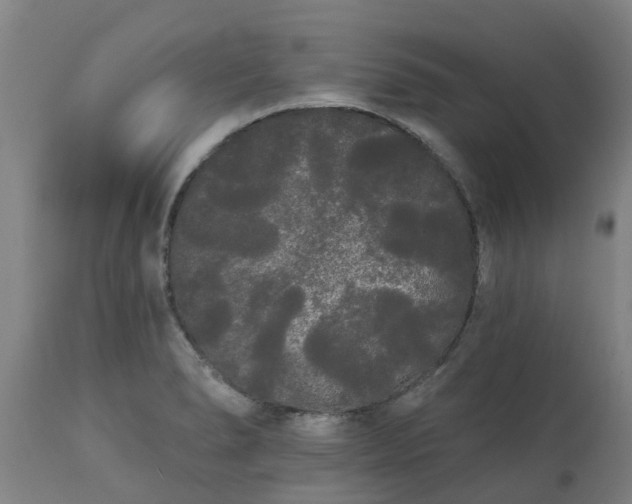 X0000111461278200907201105