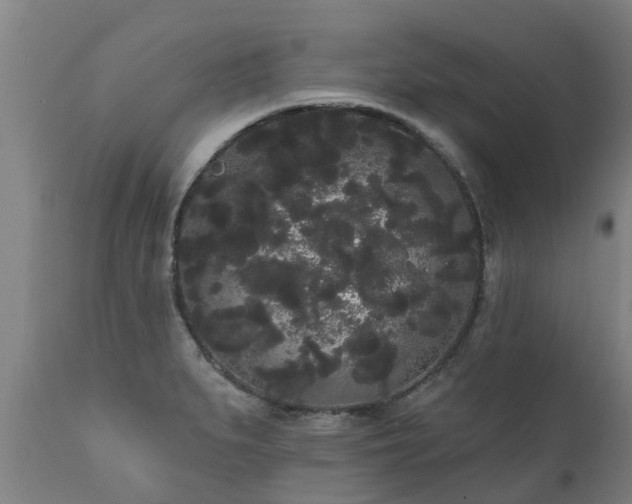 X0000111461279200907201105