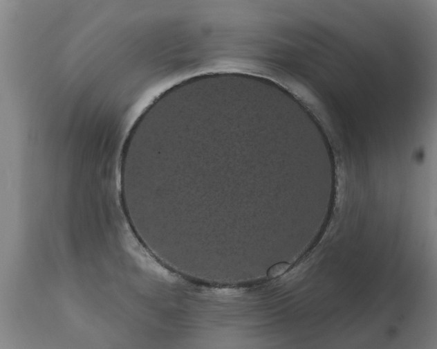 X0000111461280200907201105